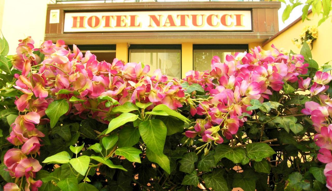 Albergo Natucci มอนเตกาตินี แตร์เม ภายนอก รูปภาพ
